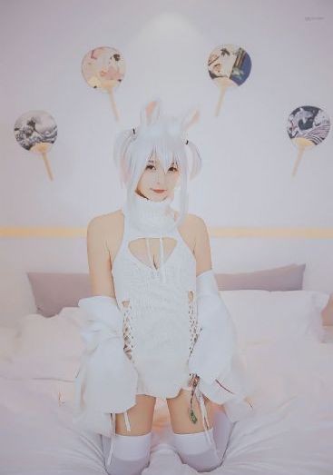 禽兽超人第一季动画片全集播放