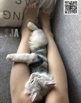 91佛爷在线观看