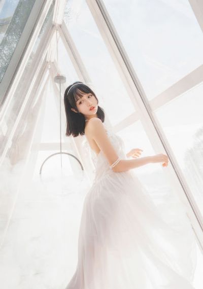 傻王夺嫡
