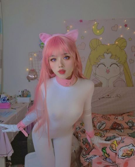狐狸的春天