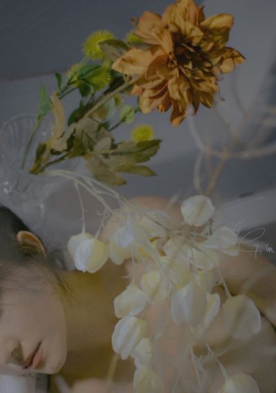 无上神帝樱花动漫观看