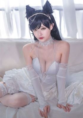 黑猫警长第一部