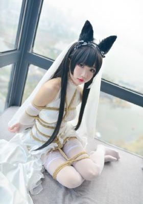 张子健英雄