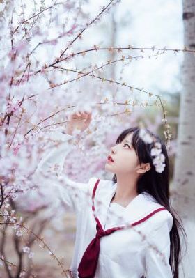 光棍电影免费完整版