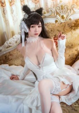新世界1-70集免费观看